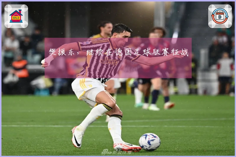 樊振东，继续在德国足球联赛征战